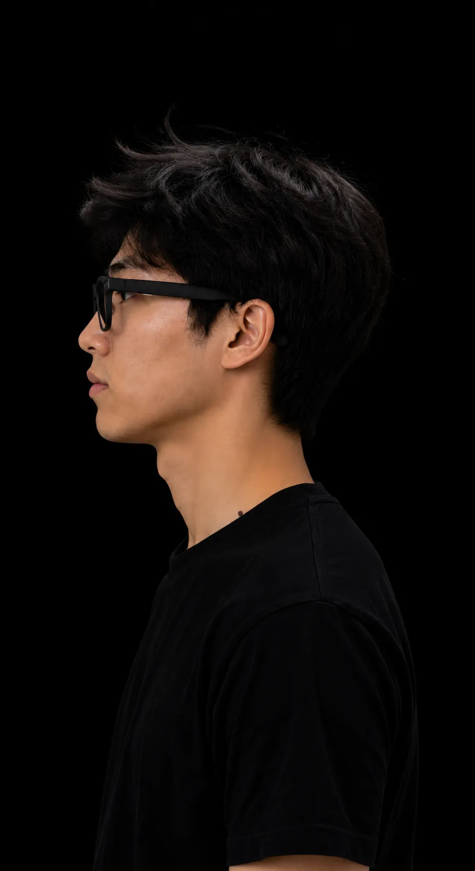 Iris glasses, left profile